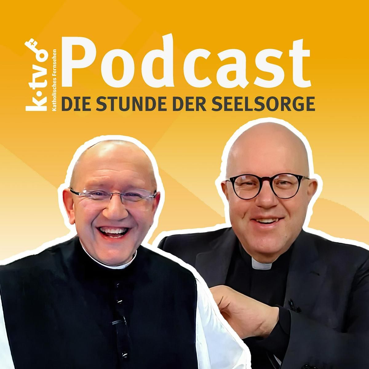 die_stunde_der_seelsorge_Podcast_von_KTV_and_Missio_Oesterreich_mit_Pater_Karl_Wallner_109ba9e93c.jpeg