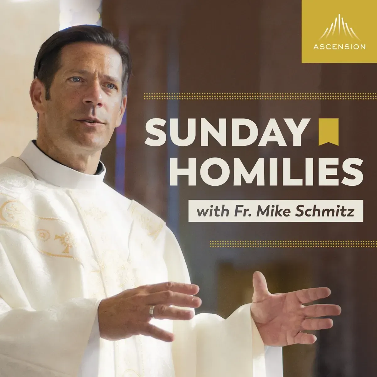 sunday_homilies_das_Evangelium_erklaert_mit_Father_Mike_Schmitz_ae961e2259.webp