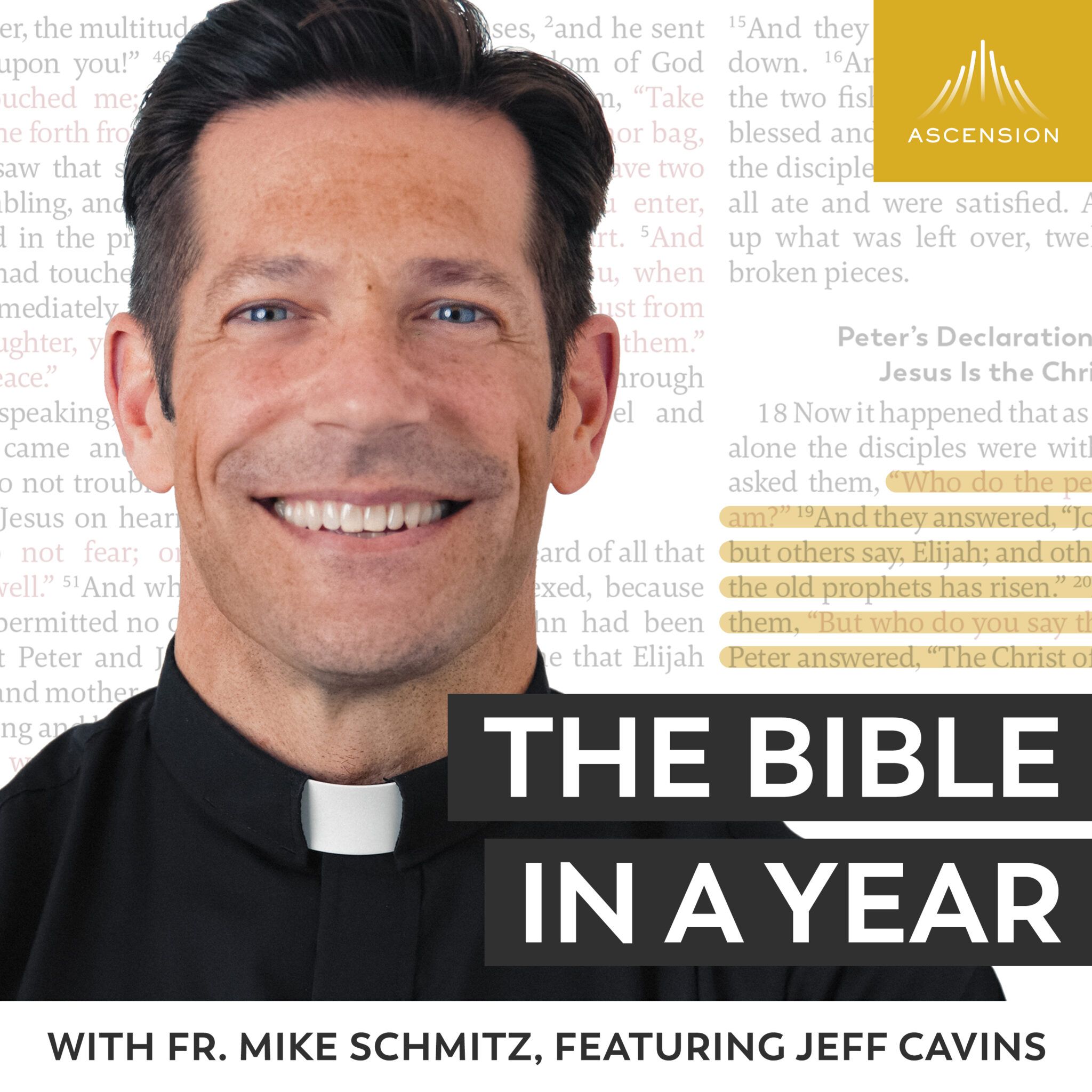 Father Mike Schmitz Podcast über die Bibel